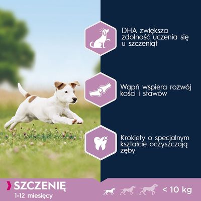 DHA zwiększa zdolność uczenia się u szczeniąt, wapń wspiera rozwój kości i stawów, krokiety o specjalnym kształcie oczyszczają zęby. Szczenię 1–12 miesięcy, masa ciała poniżej 10 kg.