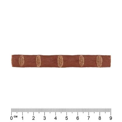 Brun tyggegodbid med ovale indskæringer, længde ca. 9 cm, centimeter-skala synlig.