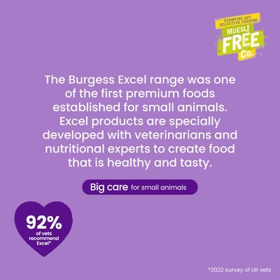 Burgess Excel Chinchilla Nuggets with Mint - 1.5kg