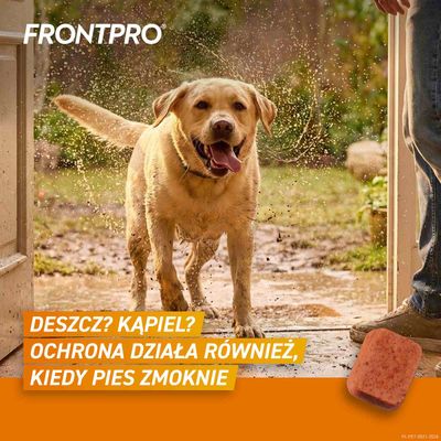 FRONTPRO® tabletki na pchły i kleszcze dla psów