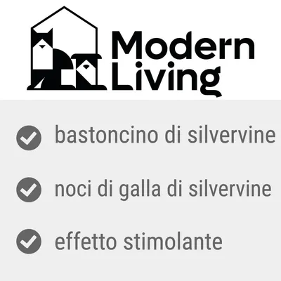 Modern Living, bastoncino di silvervine, noci di galla di silvervine, effetto stimolante