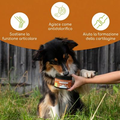 Wolfsbacher Natur Snack Articolazioni & Ossa