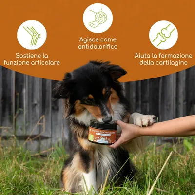 Wolfsbacher Natur Snack Articolazioni & Ossa - 300 g