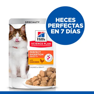 Hill's Science Plan Perfect Digestion Adult 1+ with Chicken. Heces perfectas en 7 días. Sobre con trozos en salsa, imagen de gato y plato de comida húmeda.