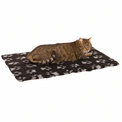 Braun getigerte Katze liegt auf einer schwarzen Decke mit weissen Pfotenmustern.