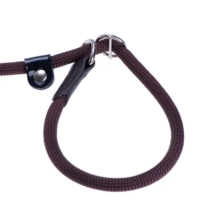 Close-up of a brown rope slip lead with metal rings and leather reinforcement, showing adjustable loop for secure attachment.
