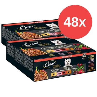 Cesar Natural Goodness Casserole Mega Pack, 48x. Imagen de dos cajas con comida húmeda para perros, variedad de ingredientes visibles y texto 'grain free' y 'superfoods'.