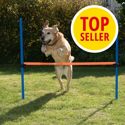 Ostacolo Agility Fun & Sport - 1 pz