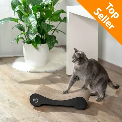 Gatto grigio su tiragraffi in cartone ondulato COSMA, etichetta Top Seller visibile in alto a destra. Gatto grigio su tiragraffi in cartone ondulato COSMA, etichetta Top Seller visibile in alto a destra.