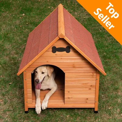Cuccia per cani in legno con tetto rosso, cane all'interno. Angolo in alto a destra: scritta Top Seller su sfondo arancione.