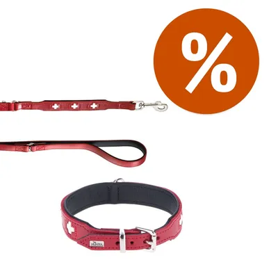 Set guinzaglio e collare Hunter in pelle rossa con croci bianche visibili, fibbia metallica. Simbolo percentuale arancione indica offerta o sconto.