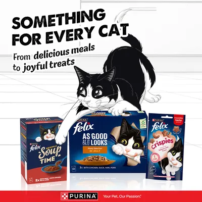 PURINA Felix продукти за котешка храна: Soup Time, As Good As It Looks, Crispies. Текст: Нещо за всяка котка. От вкусни ястия до радостни лакомства. PURINA Felix продукти за котешка храна: Soup Time, As Good As It Looks, Crispies. Текст: Нещо за всяка котка. От вкусни ястия до радостни лакомства.