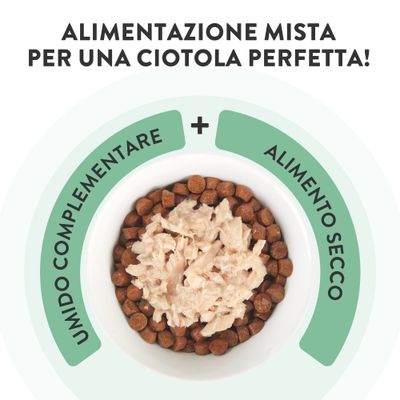 Schesir Complements Filetti in gelatina 6 x 70 g in buste