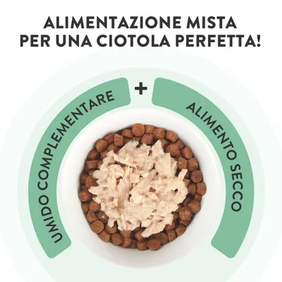 Schesir Complements Filetti in gelatina 6 x 70 g in buste - Pollo