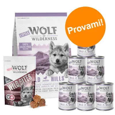 Set di alimenti per cani Little Wolf of Wilderness: sacco, snack Wild Bites e 6 lattine Wild Hills. Testo visibile: '100% grain-free recipe', 'Provami!'.