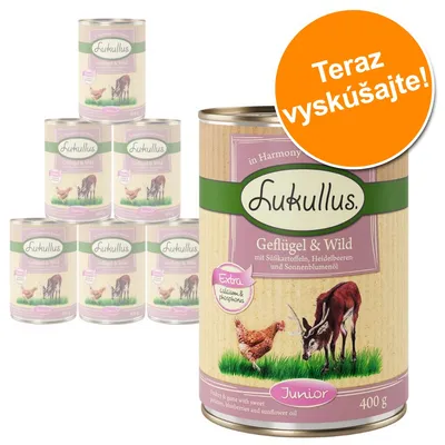 Lukullus Geflügel & Wild Junior 400 g, sada konzerv s nápisom „Teraz vyskúšajte!“. Viditeľný text: Extra calcium & phosphorus, mit Süßkartoffeln, Heidelbeeren und Sonnenblumenöl. Lukullus Geflügel & Wild Junior 400 g, sada konzerv s nápisom „Teraz vyskúšajte!“. Viditeľný text: Extra calcium & phosphorus, mit Süßkartoffeln, Heidelbeeren und Sonnenblumenöl.