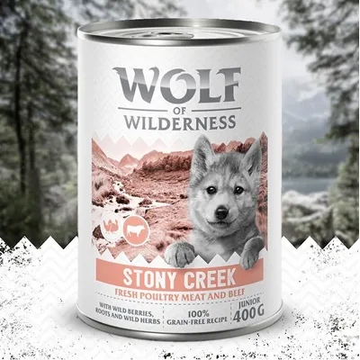 Wolf of Wilderness Stony Creek Junior, fresh poultry and beef, with wild berries, roots and herbs, 100% grain-free recipe, 400g can. Wolf of Wilderness Stony Creek Junior, fresh poultry and beef, with wild berries, roots and herbs, 100% grain-free recipe, 400g can.