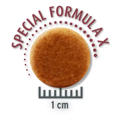 Pyöreä nappula, jossa teksti 'Special Formula X' ja halkaisija 1 cm.