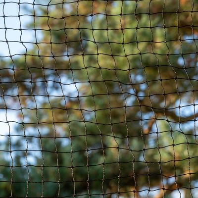 Black net with square mesh structure, suitable for outdoor areas. Background shows blurred trees and blue sky.
