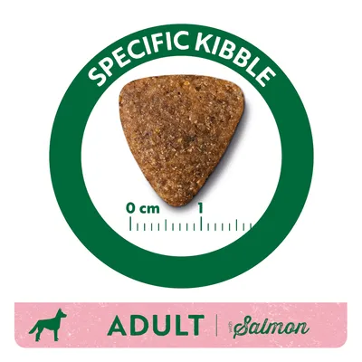 Triangle-shaped kibble with size scale 0–1 cm, green circle with text 'SPECIFIC KIBBLE', pink banner showing dog icon, 'ADULT with Salmon' in English.