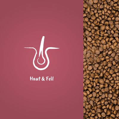 Symbol eines Haarfollikels mit Text 'Haut & Fell' und Abbildung von braunen Kroketten.