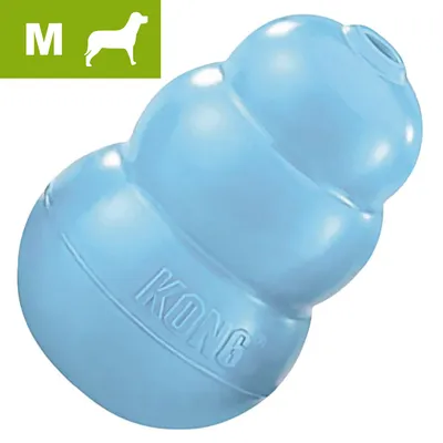 Modrá hračka KONG, velikost M, plast, s nápisem KONG na povrchu. V levém horním rohu zelené pole s písmenem M a siluetou psa.