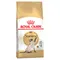 Royal Canin Siamese Adult 4 kg