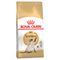 Royal Canin Siamese Adult Dubbelpak: 2 x 10 kg