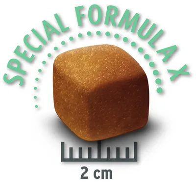 Croquette carrée, texte visible : SPECIAL FORMULA X, règle indiquant 2 cm.
