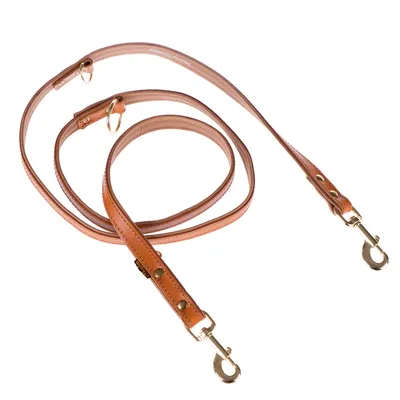 Laisse pour chien en cuir marron avec deux mousquetons métalliques et plusieurs anneaux d’attache visibles.
