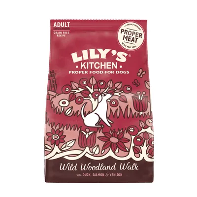 Lily's Kitchen Adult eend, zalm & wild - Dubbelpak: 2 x 2,5 kg