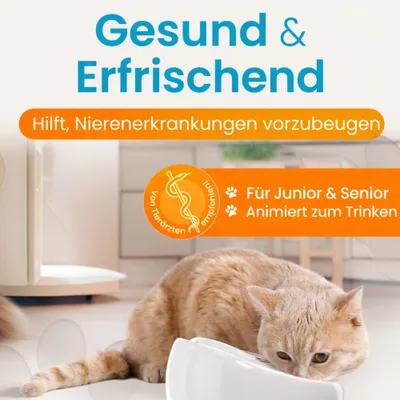 Lucky-Kitty Katzenbrunnen Keramik - Trinkbrunnen 1,5 Liter, weiß