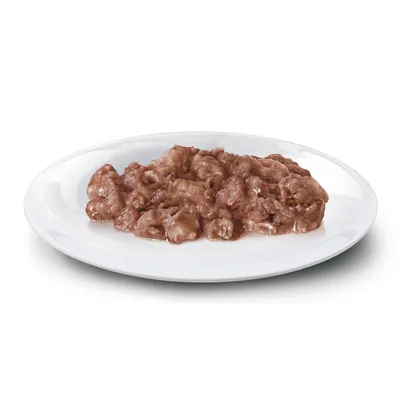 Close-up of wet food on a white plate, brown meaty texture visible.