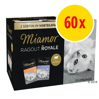 Miamor Ragout Royale kissanpentujen märkäruoka, 60 x 100 g annospussia. Pakkauksessa kaksi makua ja teksti 'Für Kitten'. Näkyvissä kuva kissasta ja annospusseista.