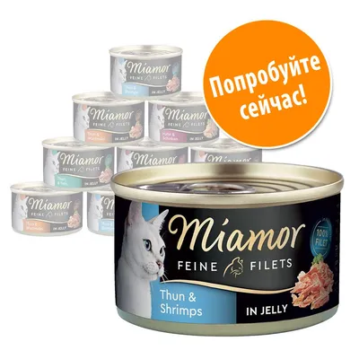 Консервы для кошек Miamor Feine Filets Thun & Shrimps in Jelly, банка с изображением белой кошки. Оранжевый круг с текстом: Попробуйте сейчас!