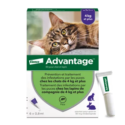 Advantage 80 pour chat et lapin, prévention et traitement des puces chez les chats et lapins de compagnie de 4 kg et plus, boîte 6 x 0,8 ml, solution spot-on 80 mg imidaclopride.