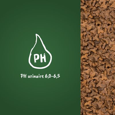Croquettes en gros plan à droite, texte visible : PH urinaire 6,0–6,5 avec un pictogramme goutte et PH au centre sur fond vert à gauche.