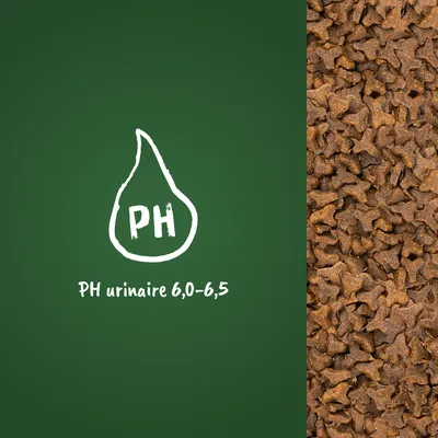 Croquettes en gros plan à droite, texte visible : PH urinaire 6,0–6,5 avec un pictogramme goutte et PH au centre sur fond vert à gauche.