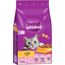 Whiskas 1+ Kip 3,8 kg