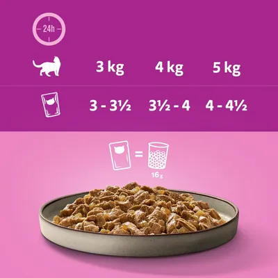 Ruokintasuositus kissoille: 3 kg paino = 3–3½ pussia, 4 kg = 3½–4 pussia, 5 kg = 4–4½ pussia. 1 pussi vastaa 16 g kuivaruokaa.