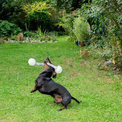 Nomad Tales Spirit svítící hrací míč s lanem