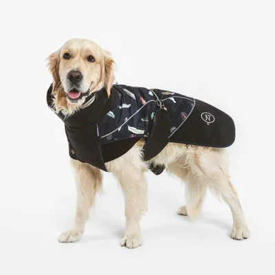Manteau noir pour chien avec motifs colorés et logo NT visible sur le côté, porté par un grand chien à poil long.