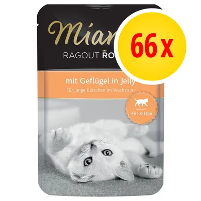 Miamor Ragout mit Geflügel in Jelly, Für junge Kätzchen im Wachstum, Für Kitten. 66x pakkauksessa. Kissapentu makaa selällään pakkauksen kuvassa. Miamor Ragout mit Geflügel in Jelly, Für junge Kätzchen im Wachstum, Für Kitten. 66x pakkauksessa. Kissapentu makaa selällään pakkauksen kuvassa.