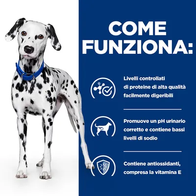 COME FUNZIONA: Livelli controllati di proteine di alta qualità facilmente digeribili. Promuove un pH urinario corretto e contiene bassi livelli di sodio. Contiene antiossidanti, compresa la vitamina E.