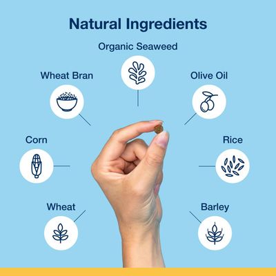 Natural ingredients shown: organic seaweed, wheat bran, olive oil, corn, rice, wheat and barley. A hand holds a small piece of food to illustrate ingredient content.