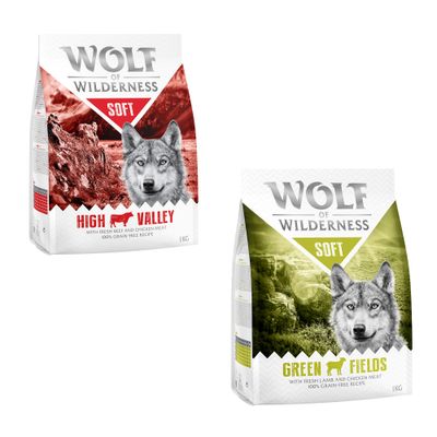 Wolf of Wilderness kutyatáp csomagok: Blue, Sunny, Wild, Green Fields. 100% grain-free recipe. Próbálja ki! felirat narancssárga körben.