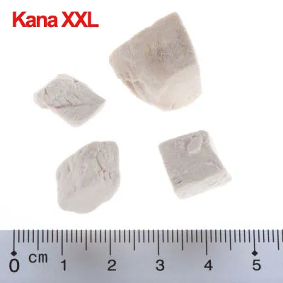 Kana XXL -nimisiä vaaleita kuutioita, neljä kappaletta viivaimen vieressä mittaamista varten. Kuutioiden koko noin 2–4 cm.