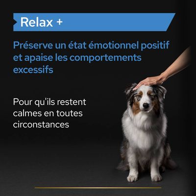 Texte : Relax + Préserve un état émotionnel positif et apaise les comportements excessifs. Pour qu'ils restent calmes en toutes circonstances.