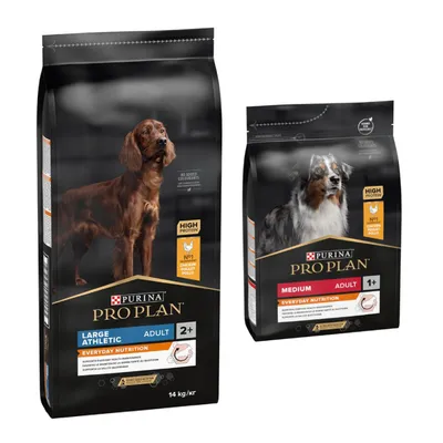 PURINA PRO PLAN 17 kg pienso para perros en oferta: 14 + 3 kg ¡gratis! - Large Athletic Adult Everyday Nutrition (14 kg) + Medium Adult Everyday Nutrition (3 kg) PURINA PRO PLAN 17 kg pienso para perros en oferta: 14 + 3 kg ¡gratis! - Large Athletic Adult Everyday Nutrition (14 kg) + Medium Adult Everyday Nutrition (3 kg)