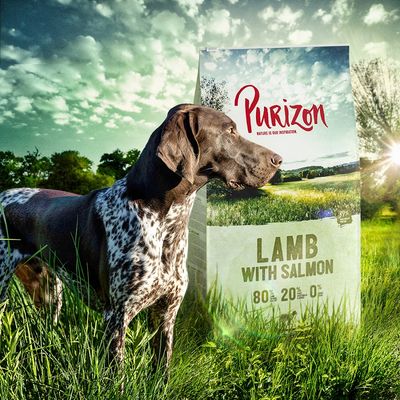 Cane davanti a confezione di Purizon Lamb with Salmon, testo visibile: 80 % 20 % 0 %, Nature is our inspiration, 39 % protein content.